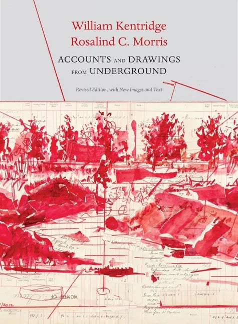 Accounts and Drawings from Underground: The East Rand Proprietary Mines Cash Book - Hardcover