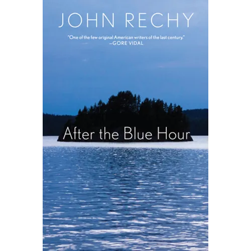 After the Blue Hour - Hardcover