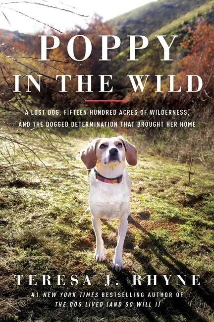 Poppy in the Wild: A Lost Dog, Fifteen Hundred Acres of Wilderness, and the Dogged Determination That Brought Her Home - Paperback