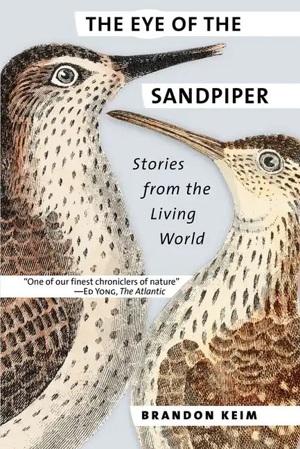 The Eye of the Sandpiper: Stories from the Living World - Paperback