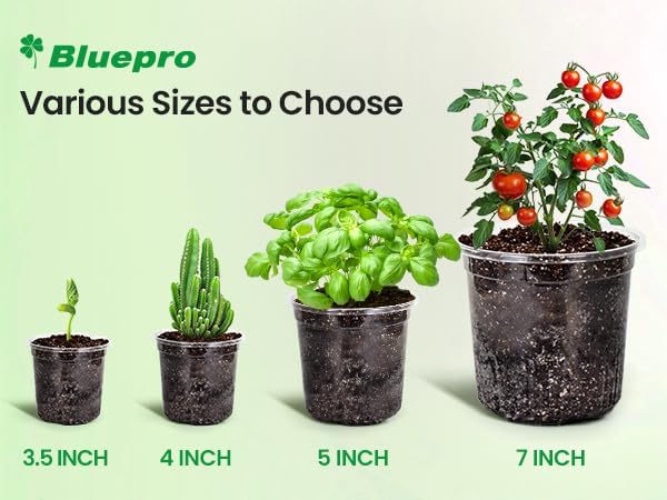 Bluepro Clear Nursery Pots with Drainage Holes, 4/5/7 Inch, 30-Pack | Clear PET, 10 Each of 3 Sizes, Root and Moisture Visibility, Flexible, Reusable, Indoor Use, Propagation and Seed Starting