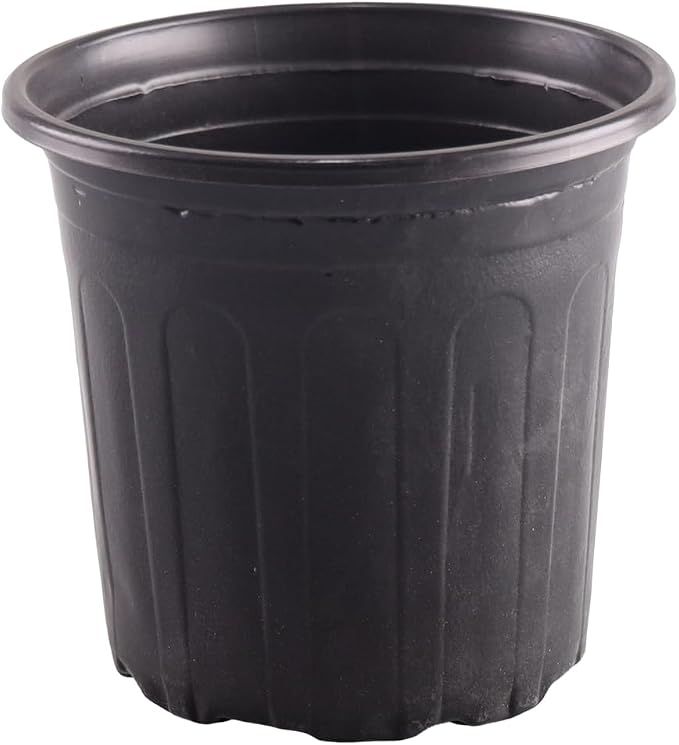1 Gallon Nursery pots (75, 3 Gallon)