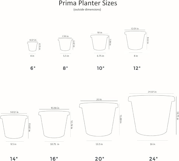 The HC Companies 16 Inch Round Prima Planter - Plastic Plant Pot with Rolled Rim for Indoor Outdoor Plants Flowers Herbs, Evergreen (Pack of 2)