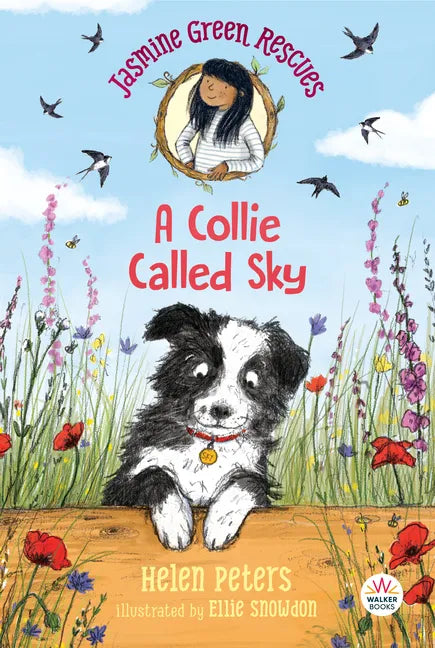 Jasmine Green Rescues: A Collie Called Sky - Paperback
