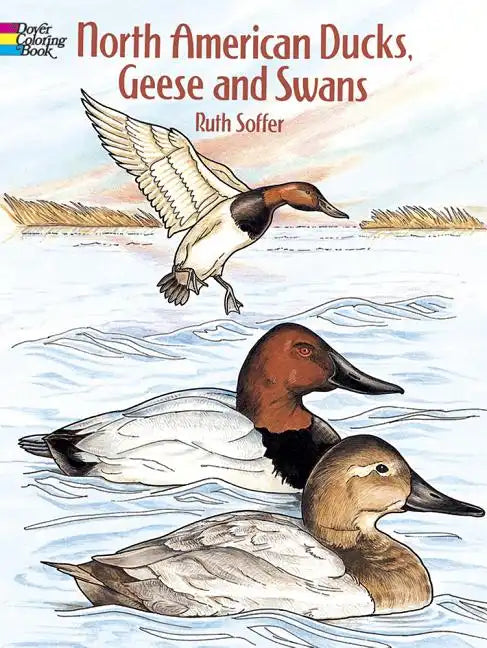 North American Ducks, Geese and Swans Coloring Book - Paperback