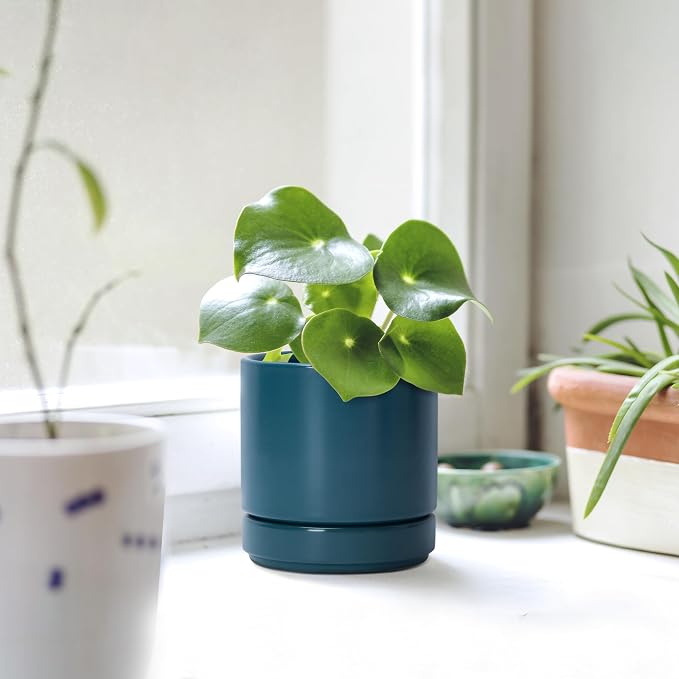 D'vine Dev 4.7 Inch Ceramic Planter Pot, Teal, 94-O-B-9 | Modern Cylinder Design, Drainage Hole & Saucer Included, Stable Structure, Elegant Home Accent