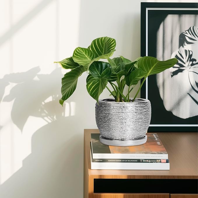 SQOWL Ceramic Plant Pots - 6 Inch Planter for Indoor Outdoor Plants, Modern Round Flower Pots with Drainage Hole and Saucer, Decorative Small Planter, Office Decor, Gifts for Women Men, Silver