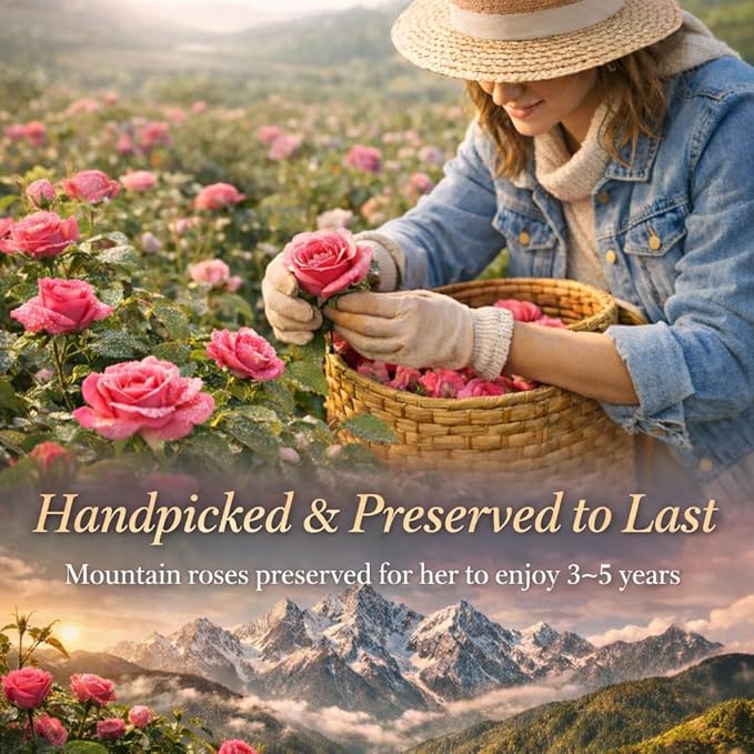 Forever Love Preserved Real Rose with Heart Necklace, Mothers Day Gifts for Mom, Wife, Anniversary Birthday Gifts for Women ā Projects āI Love Youā in 100 Languages