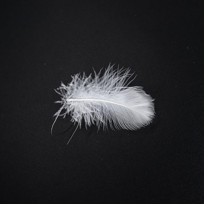 MOOX Down Feathers Pillow Stuffing Filling for DIY Projects Premium Natural 5/95 Goose Feather Down Soft Fluffy Perfect for Pillow Cushions Bedding Pillow Couch Dog Bed Upholstery Crafts (2.0, Pounds)