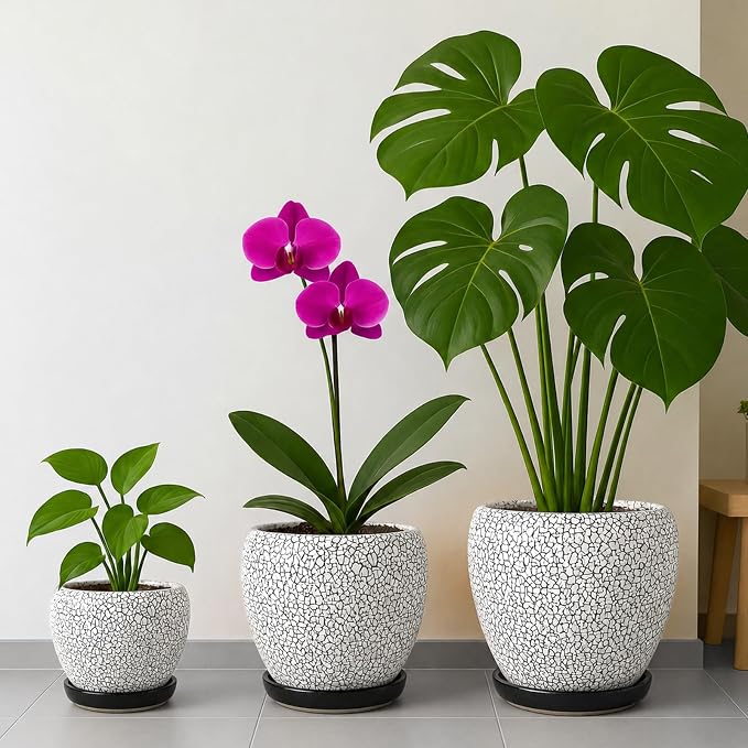 Deep Dream 8 Inch Plant Pots- Ceramic Pots for Plants with Drainage Hole and Saucer, Large Planter Pot for Indoor Plants Outdoor Decor, Wood Crack Black