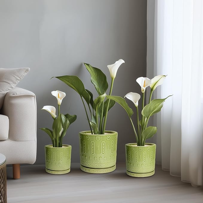 Eightpot 8 Inch Plant Pots - Ceramic Planter for Indoor Plants Outdoor, Round Ceramic Flower Pots with Drainage Hole and Saucer, Boho Decorative Planter, Home Bedroom Decor, Birthday Gifts, Green