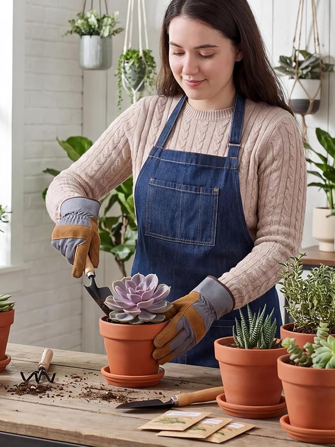 INGOFIN 4 Inch Terracotta Pots with Saucers, 8 Pack Shallow Clay Plant Pots with Drainage Holes for Succulents, Cactus, Herbs, Small Terra Cotta Pots for Indoor Outdoor, Set of 8