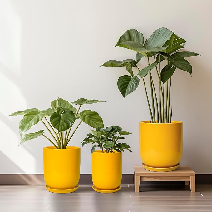 Ceramic Pot for Plants - 10 Inch Plant Pot Indoor with Drainage Hole and Saucer Large Planter for Outdoor Plants Cylinder Decorative Flower Pot Yellow
