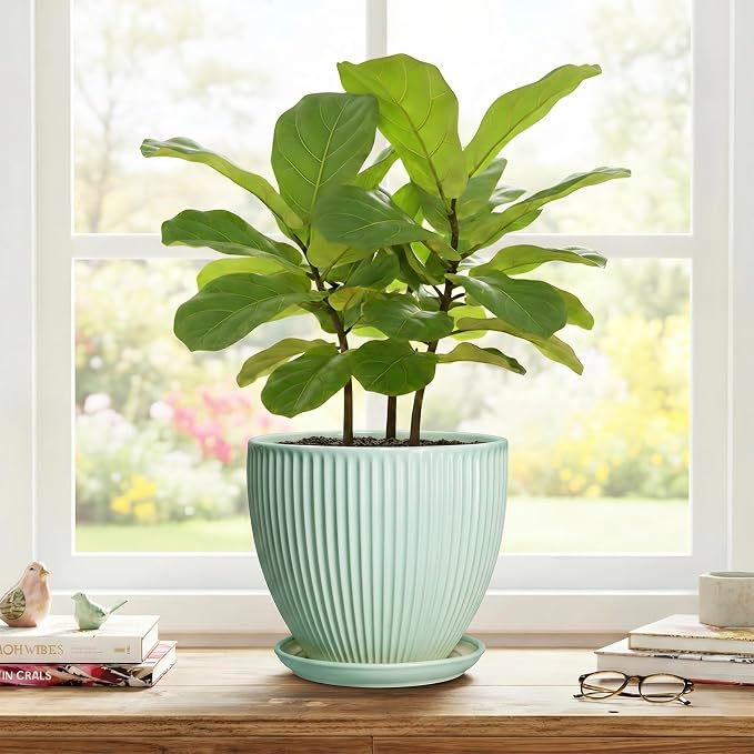 Ceramic Plant Pot, 8 Inch Flower Pots for Indoor Plants, Decorative Flower Planter with Drainage Hole and Saucer, Modern Round Pots for Plants, House Decor, House Warming Gifts, Mint Green