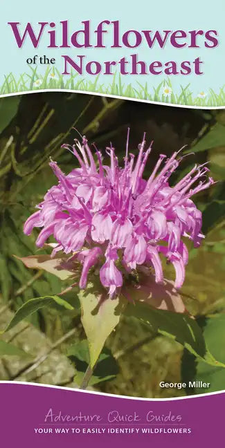 Wildflowers of the Northeast: Your Way to Easily Identify Wildflowers - Spiral