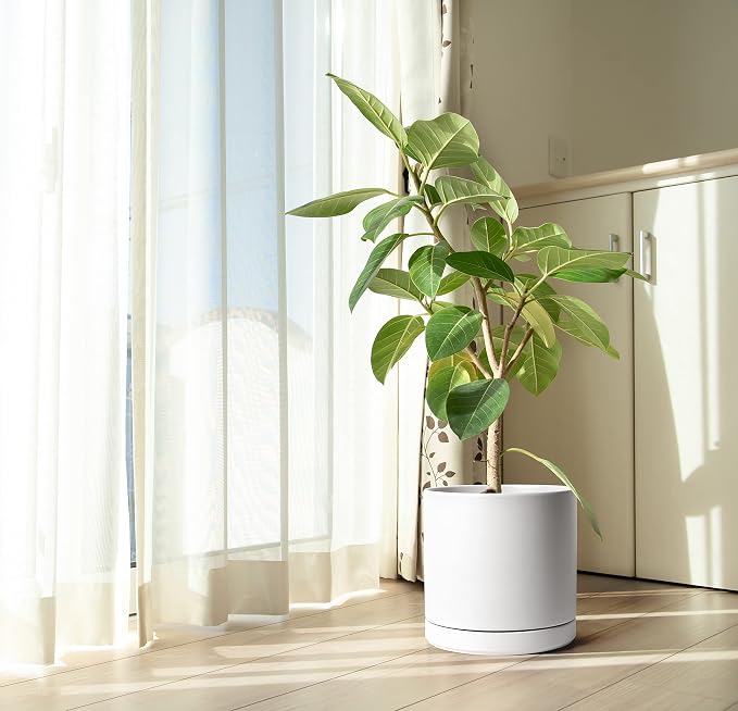 D'vine Dev 12 Inch Ceramic Planter Pot, White, 94-O-F-1 | Modern Cylinder Design, Drainage Hole & Saucer Included, Stable Structure, Elegant Home Accent