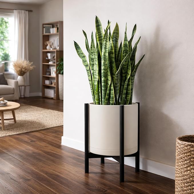 D'vine Dev Plastic Pot with Ebony Wood Stand, Oatmeal, 16 in, 55-C-Z-4 | Mid-Century Inspired Design, Elevated Plant Display, Clean Lines, Sturdy Support, Modern Space-Saving Style