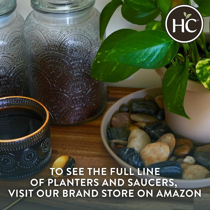 The HC Companies Prima Round Plastic Plant Pot w/Rolled Rim - Lightweight & UV Resistant Flower Pot for Herbs & More - Outdoor & Indoor Plant Pots w/Drainage (14 inch, Dusty Teal, Pack of 1)
