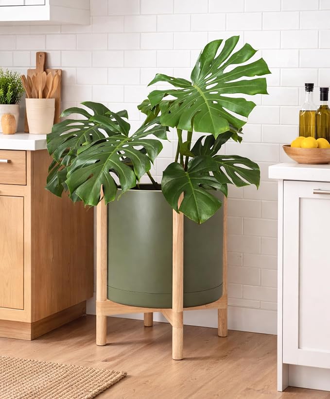 D'vine Dev Plastic Pot with Natural Wood Stand, Olive, 16 in, 55-C-Y-3 | Mid-Century Inspired Design, Elevated Plant Display, Clean Lines, Sturdy Support, Modern Space-Saving Style
