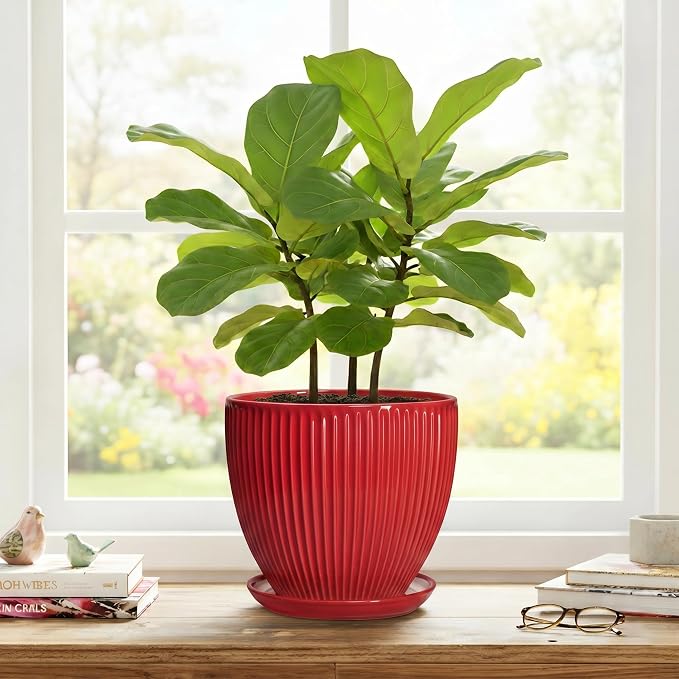 Ceramic Flower Pots 8 Inch, Ceramic Planters for Indoor House Plants, Decorative Plant Pots with Drainage Hole and Saucer, Modern Round Planter, Office Decor, Gifts for Men Women, Red