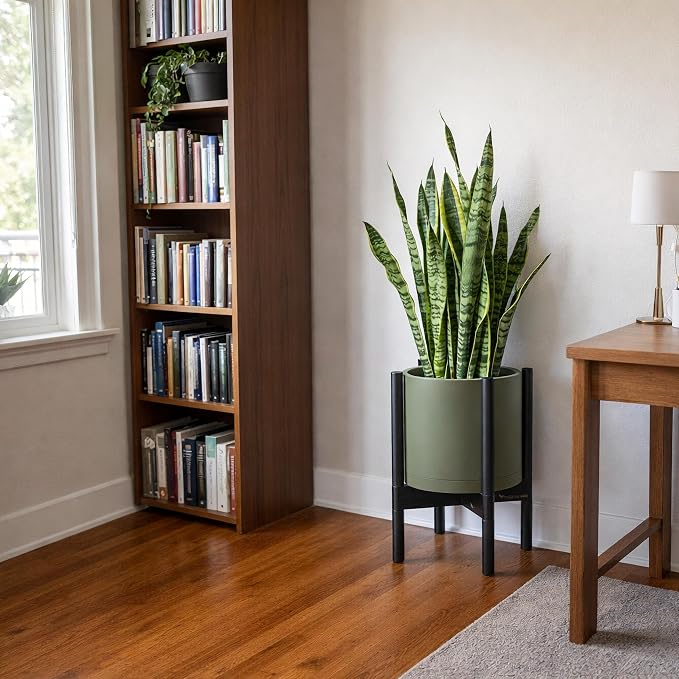 D'vine Dev Plastic Pot with Ebony Wood Stand, Olive, 10 in, 55-C-N-3 | Mid-Century Inspired Design, Elevated Plant Display, Clean Lines, Sturdy Support, Modern Space-Saving Style