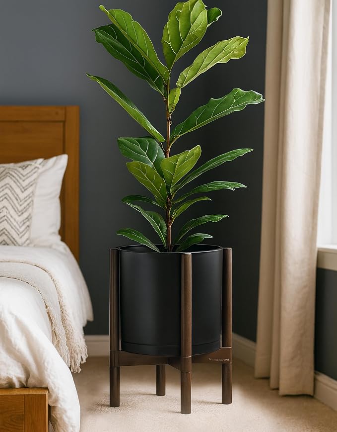 D'vine Dev Plastic Pot with Walnut Wood Stand, Black, 12 in, 55-C-O-2 | Mid-Century Inspired Design, Elevated Plant Display, Clean Lines, Sturdy Support, Modern Space-Saving Style