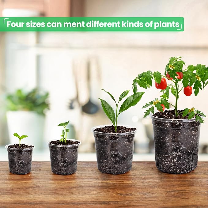 Bluepro Clear Nursery Pots with Drainage Holes, 3.5/4/5/7 Inch, 36-Pack | Clear PET, 9 Each of 4 Sizes, Root and Moisture Visibility, Flexible, Reusable, Indoor Use, Propagation and Seed Starting
