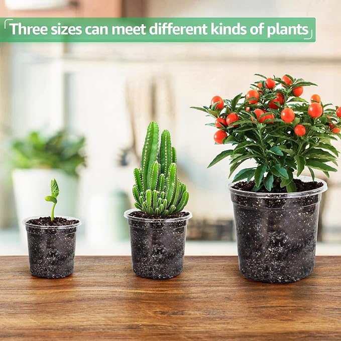Bluepro Clear Nursery Pots with Drainage Holes, 3.5/4/5 Inch, 36-Pack | Clear PET, 12 Each of 3 Sizes, Root and Moisture Visibility, Flexible, Reusable, Indoor Use, Propagation and Seed Starting