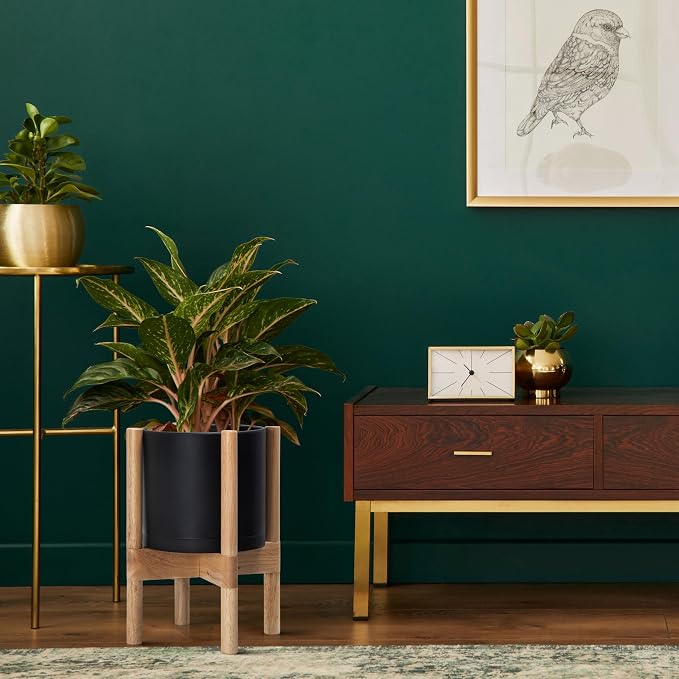 D'vine Dev Plastic Pot with Natural Wood Stand, Black, 8 in, 55-C-J-2 | Mid-Century Inspired Design, Elevated Plant Display, Clean Lines, Sturdy Support, Modern Space-Saving Style