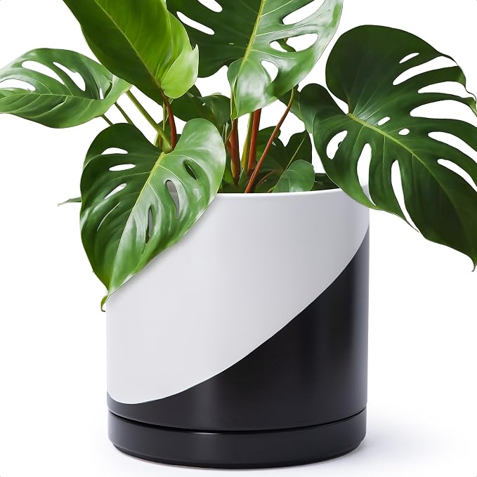 D'vine Dev 12 Inch Ceramic Planter Pot, Black White Diagonal, 94-O-F-K | Modern Cylinder Design, Drainage Hole & Saucer Included, Stable Structure, Elegant Home Accent