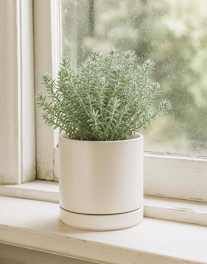 D'vine Dev 6.5 Inch Ceramic Planter Pot, Oatmeal, 94-O-C-8 | Modern Cylinder Design, Drainage Hole & Saucer Included, Stable Structure, Elegant Home Accent