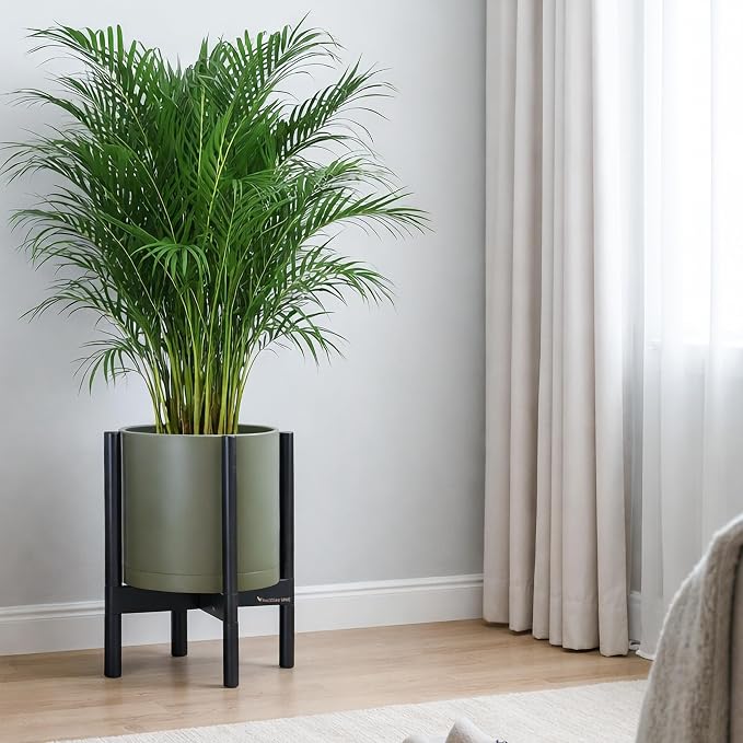 D'vine Dev Plastic Pot with Ebony Wood Stand, Olive, 12 in, 55-C-Q-3 | Mid-Century Inspired Design, Elevated Plant Display, Clean Lines, Sturdy Support, Modern Space-Saving Style