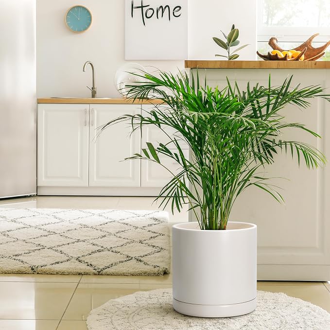 D'vine Dev 12 Inch Ceramic Planter Pot, Oatmeal, 94-O-F-8 | Modern Cylinder Design, Drainage Hole & Saucer Included, Stable Structure, Elegant Home Accent