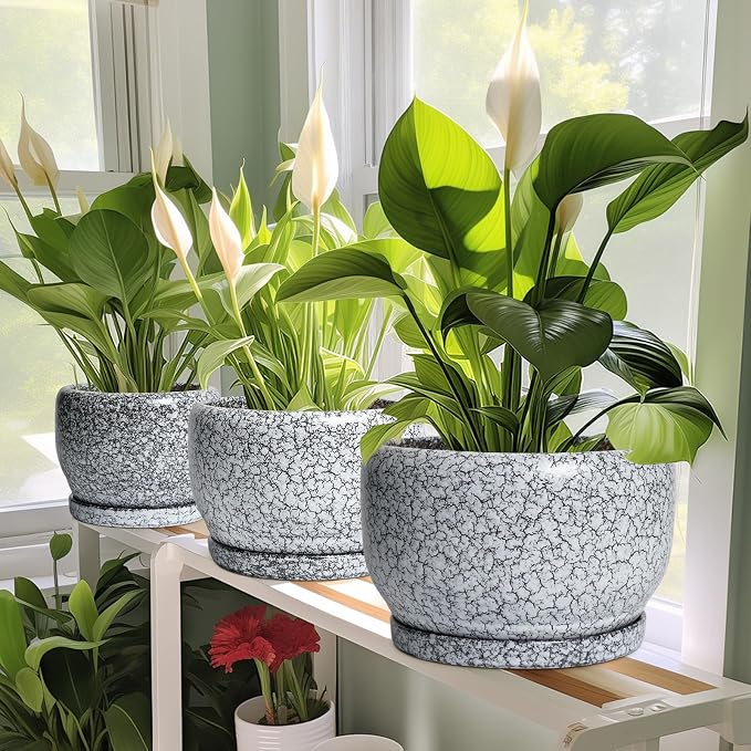SQOWL 8 inch Plant Pot - Ceramic Planter with Drainage Hole and Saucer, Round Flower Pot for Indoor Plants, Decorative Planter Outdoor, Patio Balcony Decor, House Warming Gifts, Black and White