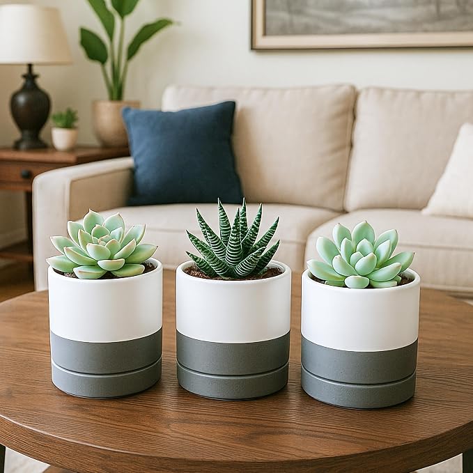 D'vine Dev 4.7 Inch Ceramic Planter Pot, White Grey, 94-O-B-6 | Modern Cylinder Design, Drainage Hole & Saucer Included, Stable Structure, Elegant Home Accent