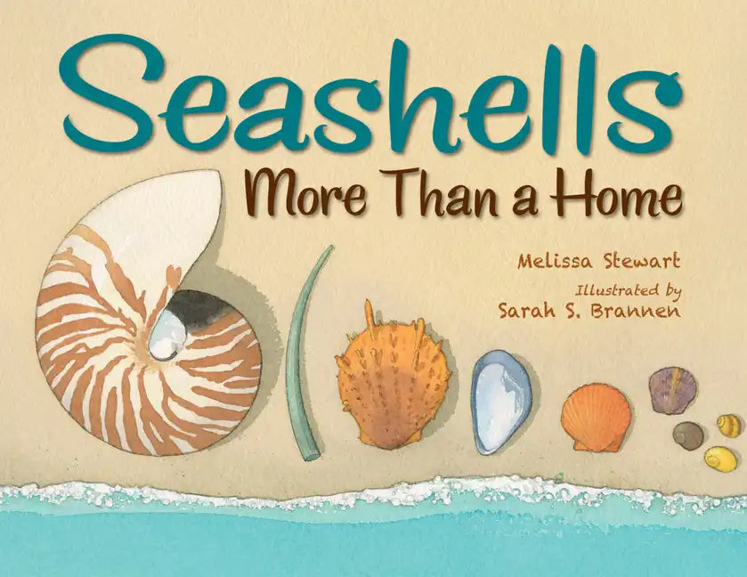 Seashells: More Than a Home - Hardcover