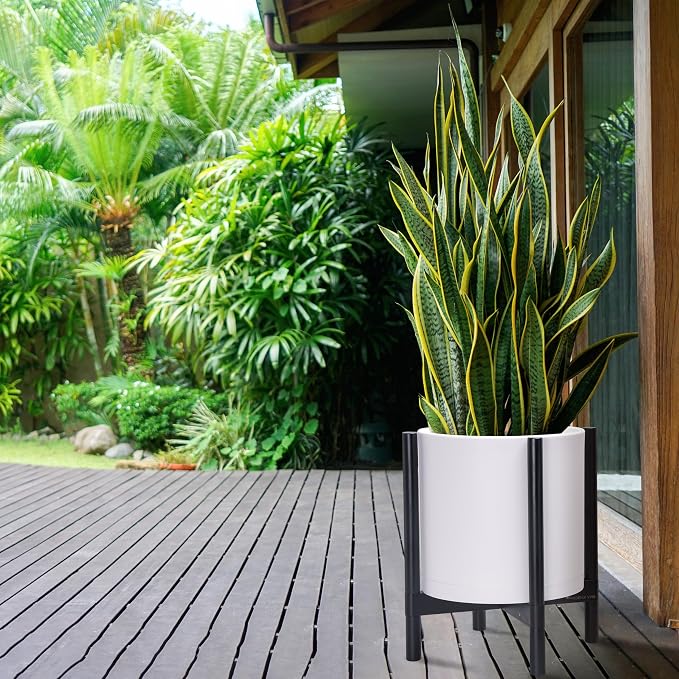 D'vine Dev Plastic Pot with Ebony Wood Stand, White, 14 in, 55-C-T-1 | Mid-Century Inspired Design, Elevated Plant Display, Clean Lines, Sturdy Support, Modern Space-Saving Style