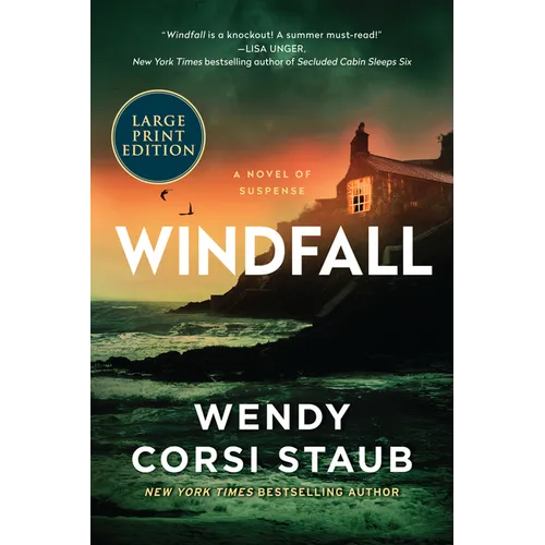 Windfall: A Novel of Suspense - Paperback