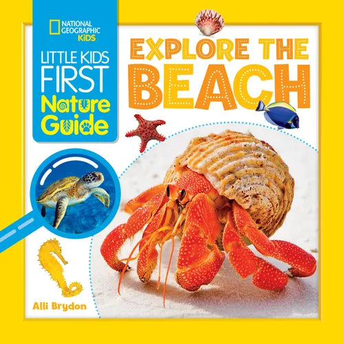 Explore the Beach - Paperback