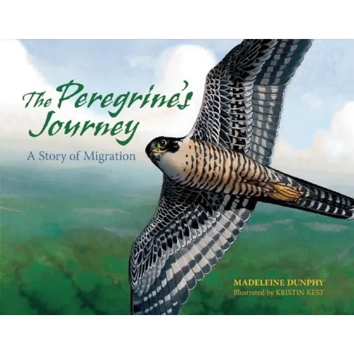 The Peregrine's Journey: A Story of Migration - Paperback