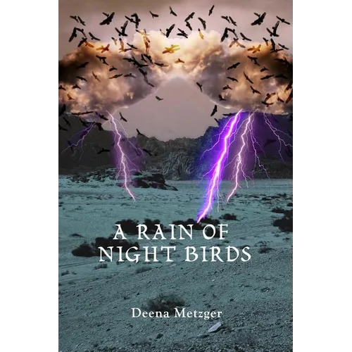 A Rain of Night Birds - Paperback