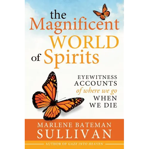 The Magnificent World of Spirits: Eyewitness Accounts of Where We Go When We Die - Paperback