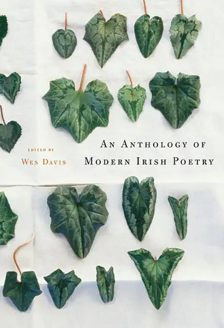 An Anthology of Modern Irish Poetry - Paperback