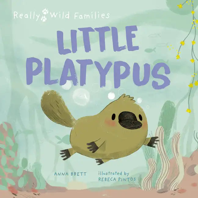 Little Platypus: A Day in the Life of a Platypus Puggle - Hardcover