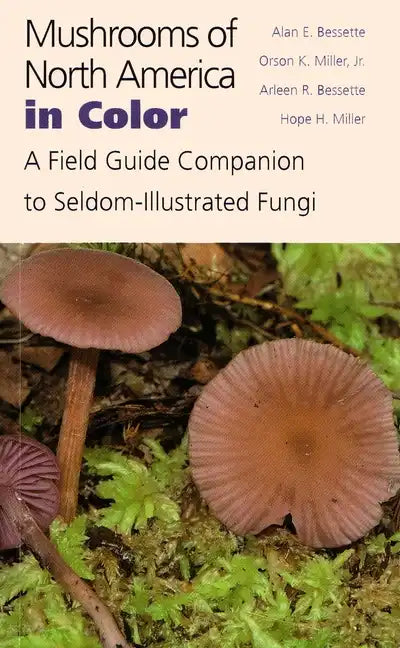 Mushrooms of North America in Color: A Field Guide Companion to Seldom-Illustrated Fungi - Hardcover