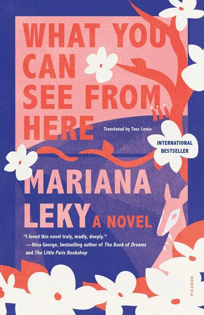 What You Can See from Here - Paperback
