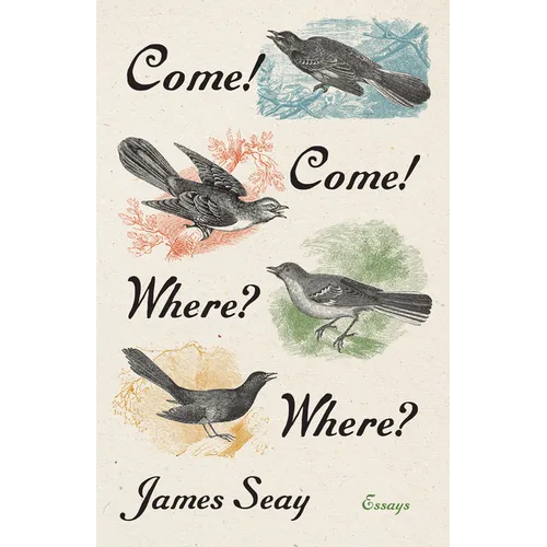 Come! Come! Where? Where?: Essays - Hardcover