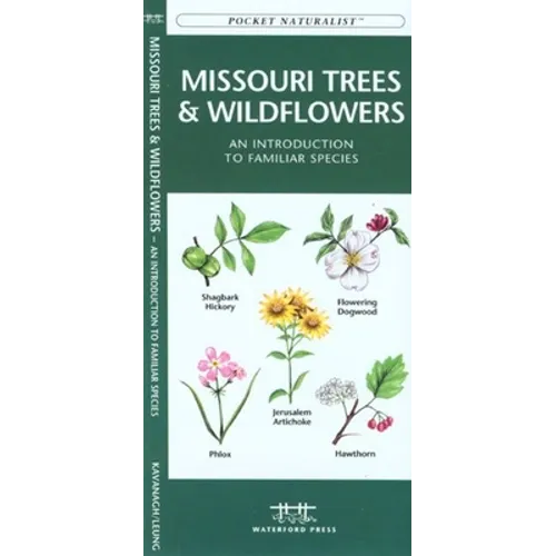 Oklahoma Trees & Wildflowers: An Introduction to Familiar Species - Paperback