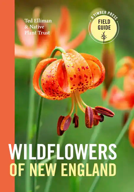 Wildflowers of New England - Paperback