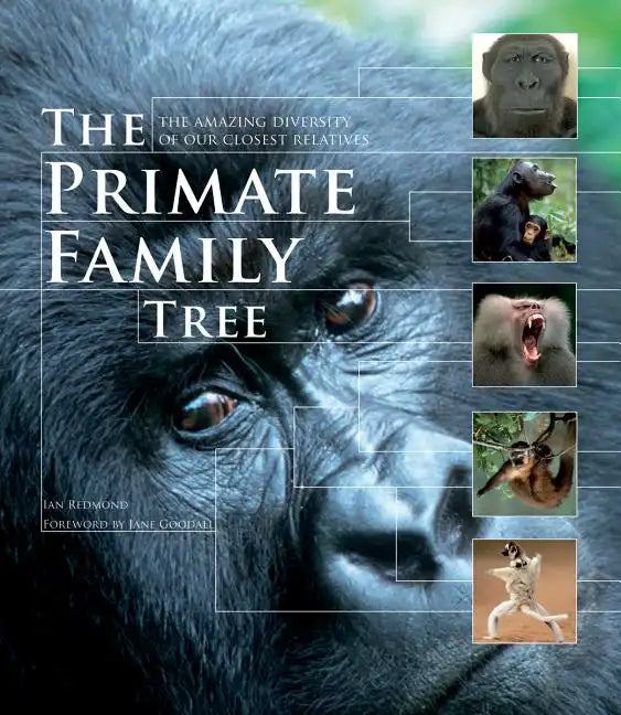 The Primate Family Tree: The Amazing Diversity of Our Closest Relatives - Paperback